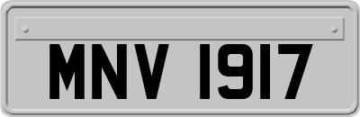 MNV1917