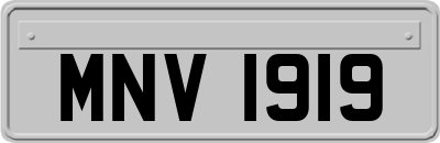 MNV1919