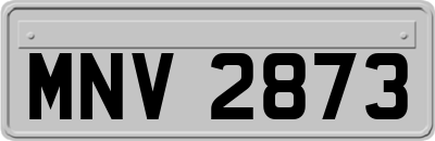 MNV2873
