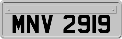 MNV2919