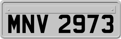 MNV2973