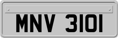 MNV3101