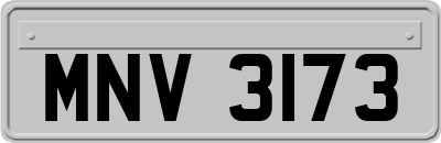 MNV3173