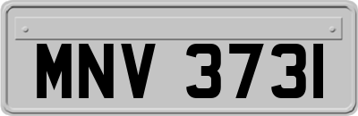 MNV3731