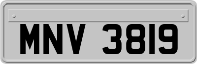 MNV3819