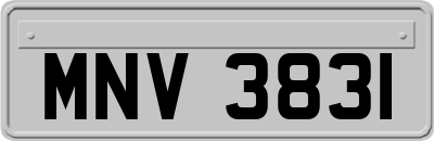 MNV3831