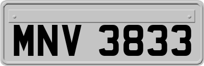 MNV3833