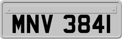 MNV3841