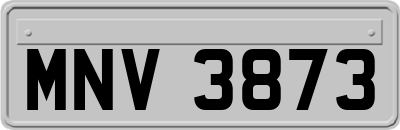 MNV3873