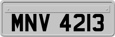 MNV4213