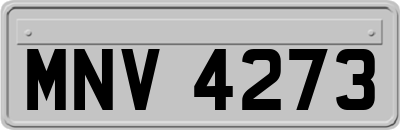 MNV4273