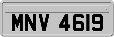 MNV4619
