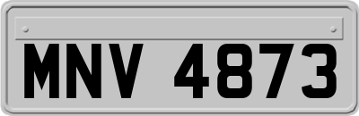 MNV4873