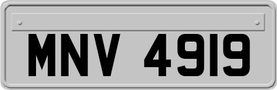MNV4919