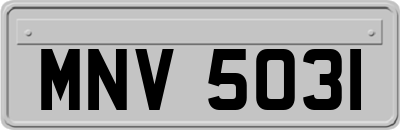 MNV5031