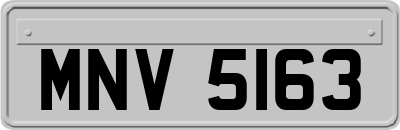 MNV5163