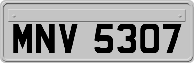 MNV5307