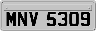 MNV5309