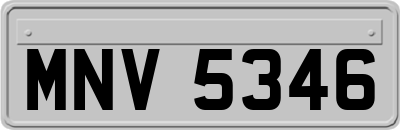 MNV5346