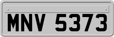MNV5373