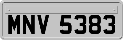 MNV5383