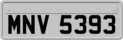 MNV5393