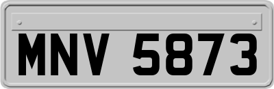 MNV5873