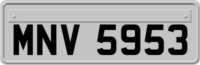 MNV5953