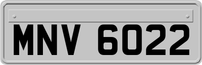 MNV6022
