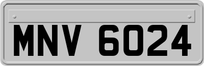 MNV6024