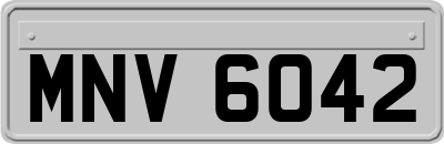 MNV6042