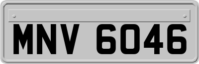 MNV6046