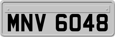 MNV6048