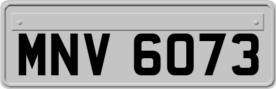 MNV6073