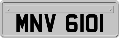 MNV6101