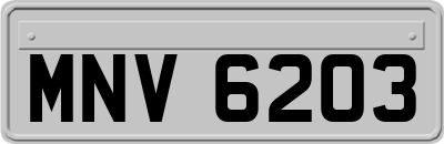 MNV6203