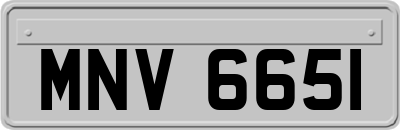 MNV6651