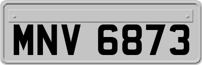 MNV6873