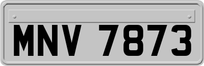 MNV7873