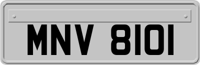 MNV8101