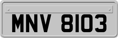 MNV8103
