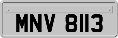 MNV8113