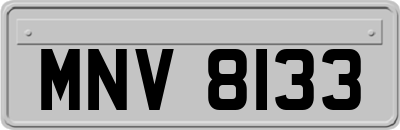 MNV8133