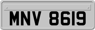 MNV8619
