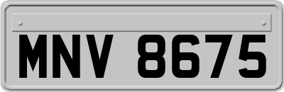 MNV8675