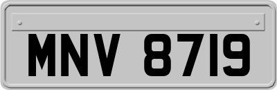 MNV8719