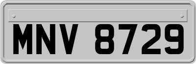 MNV8729