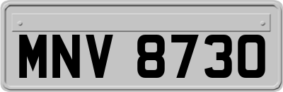 MNV8730