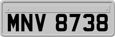 MNV8738