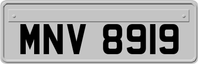MNV8919